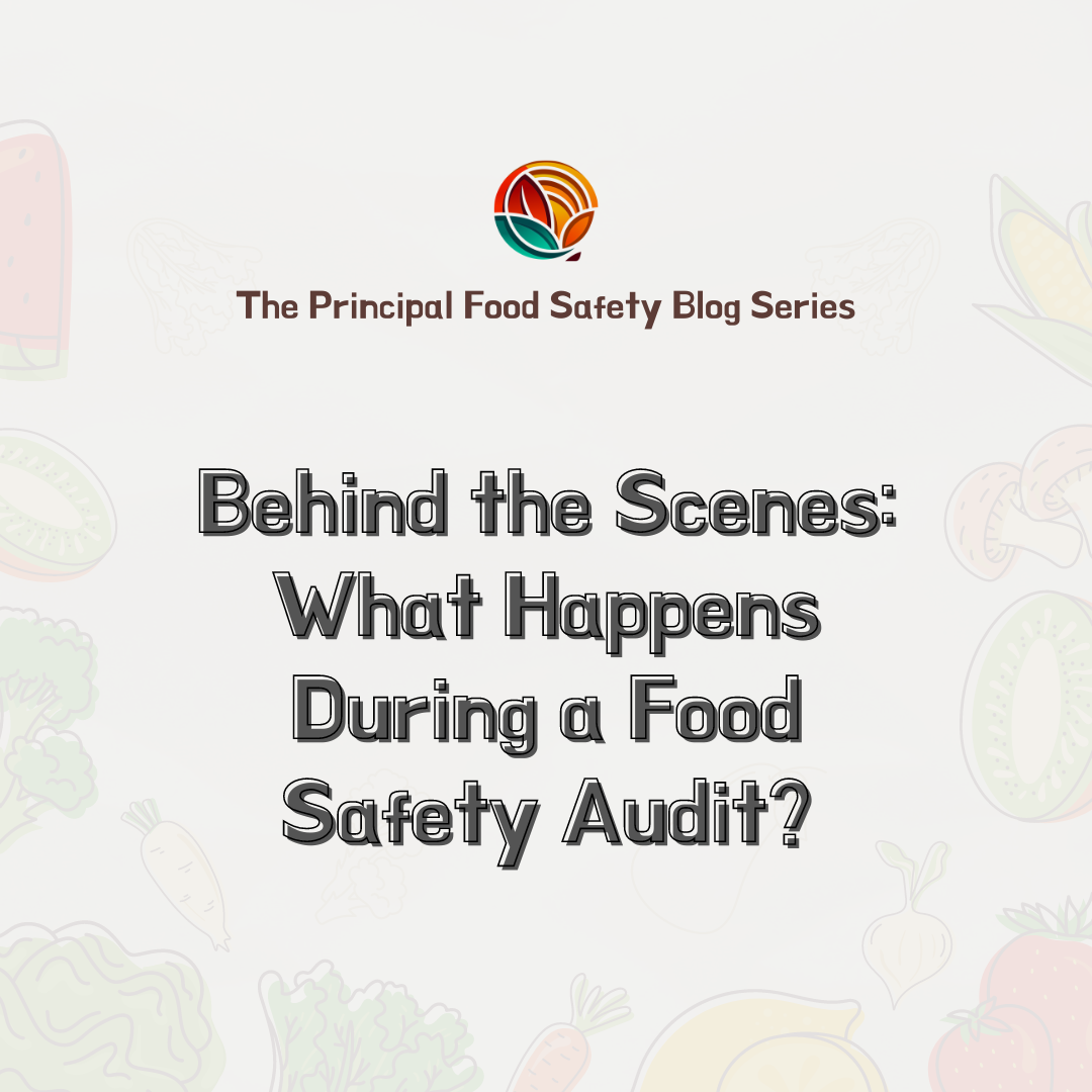 Behind the Scenes: What Happens During a Food Safety Audit?